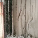 דירה The Rope